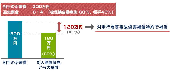 対歩行者等事故傷害補償特約